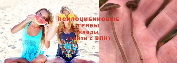твердый Верея