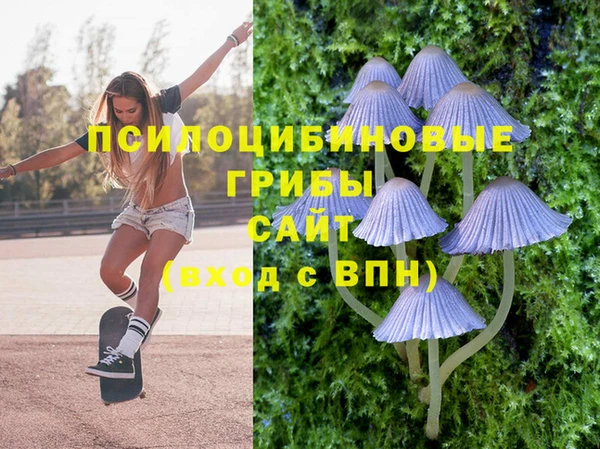 твердый Верея