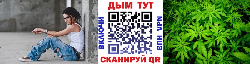 Бошки Шишки SATIVA & INDICA  KRAKEN ссылка  Игра 